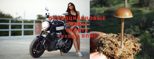 mix Покачи