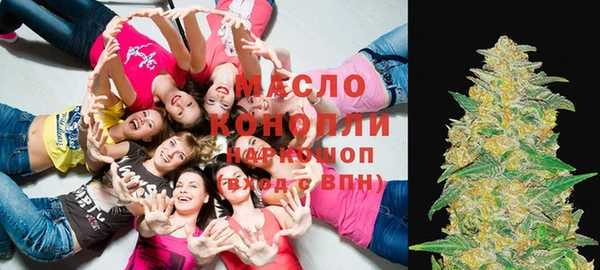 гидропоника Пересвет