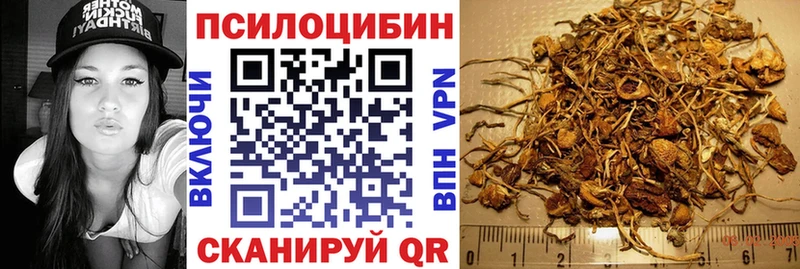 Псилоцибиновые грибы Psilocybe  Алупка 